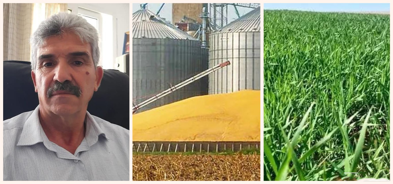 رئيس الاتحاد الجهوي للفلاحة بالقيروان لـ"الصباح نيوز": اليقظة ضرورية لمتابعة مزارع الحبوب والوقاية من الأمراض الفطرية